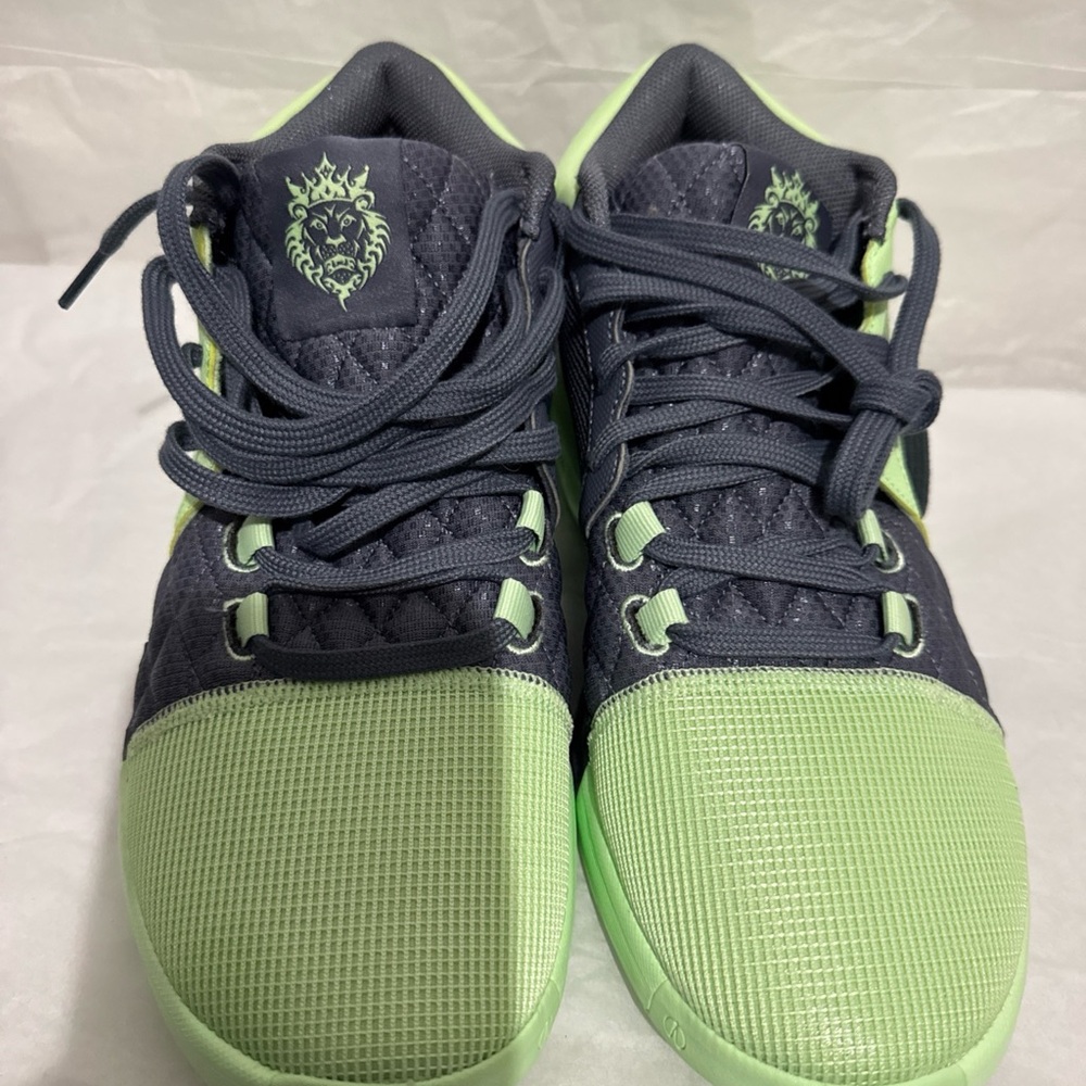 Nike men’s LeBron witness 8 vapor Green and Gray Shoes size 9.5
